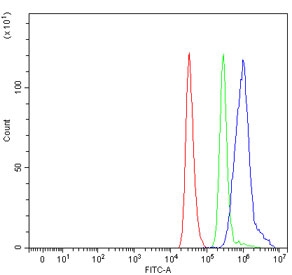Flow cytometry testing of human ThP-1 cells with KAT5 antibody at 1ug/million cells (blocked with goat sera); Red=cells alone, Green=isotype control, Blue= KAT5 antibody.