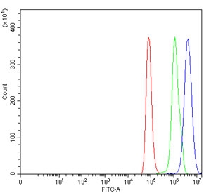 Flow cytometry testing of human HeLa cells with BRDT antibody at 1ug/million cells (blocked with goat sera); Red=cells alone, Green=isotype control, Blue= BRDT antibody.