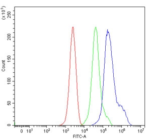 Flow cytometry testing of mouse ANA-1 cells with Fanca antibody at 1ug/million cells (blocked with goat sera); Red=cells alone, Green=isotype control, Blue= Fanca antibody.