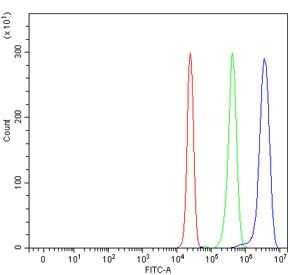 Flow cytometry testing of human HepG2 cells with GRIPAP1 antibody at 1ug/million cells (blocked with goat sera); Red=cells alone, Green=isotype control, Blue= GRIPAP1 antibody.