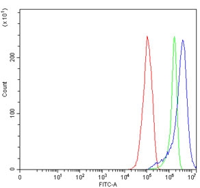 Flow cytometry testing of human RT4 cells with MX1 antibody at 1ug/million cells (blocked with goat sera); Red=cells alone, Green=isotype control, Blue= MX1 antibody.