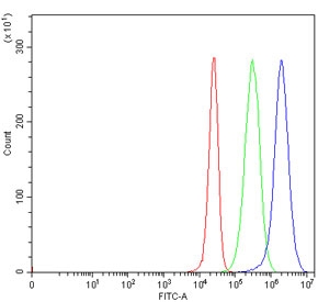 Flow cytometry testing of human 293T cells with PDIA2 antibody at 1ug/million cells (blocked with goat sera); Red=cells alone, Green=isotype control, Blue= PDIA2 antibody.