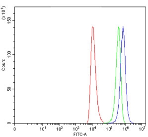 Flow cytometry testing of human HEL cells with SEPT4 antibody at 1ug/million cells (blocked with goat sera); Red=cells alone, Green=isotype control, Blue= SEPT4 antibody.