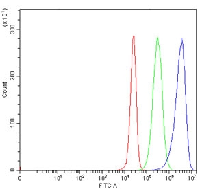 Flow cytometry testing of human 293T cells with ZW10 antibody at 1ug/million cells (blocked with goat sera); Red=cells alone, Green=isotype control, Blue= ZW10 antibody.