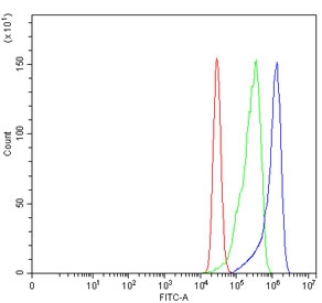 Flow cytometry testing of human MCF7 cells with CBS antibody at 1ug/million cells (blocked with goat sera); Red=cells alone, Green=isotype control, Blue= CBS antibody.