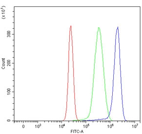 Flow cytometry testing of human HepG2 cells with Niemann Pick C1 antibody at 1ug/million cells (blocked with goat sera); Red=cells alone, Green=isotype control, Blue= Niemann Pick C1 antibody.