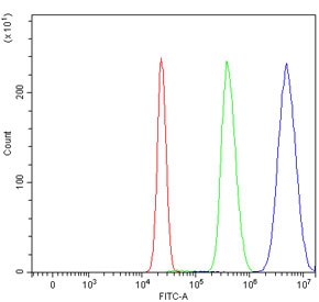 Flow cytometry testing of human HepG2 cells with PPAR alpha antibody at 1ug/million cells (blocked with goat sera); Red=cells alone, Green=isotype control, Blue= PPAR alpha antibody.
