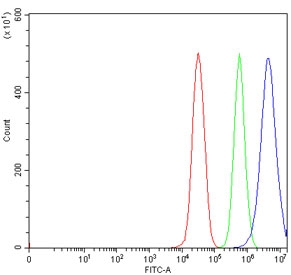 Flow cytometry testing of human 293T cells with Epoxide hydrolase antibody at 1ug/million cells (blocked with goat sera); Red=cells alone, Green=isotype control, Blue= Epoxide hydrolase antibody.
