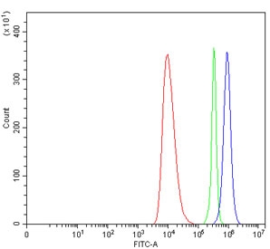 Flow cytometry testing of human HEL cells with Parathyroid Hormone Receptor 1 antibody at 1ug/million cells (blocked with goat sera); Red=cells alone, Green=isotype control, Blue= Parathyroid Hormone Receptor 1 antibody.