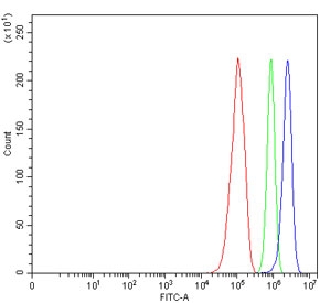 Flow cytometry testing of human RT4 cells with CD83 antibody at 1ug/million cells (blocked with goat sera); Red=cells alone, Green=isotype control, Blue= CD83 antibody.