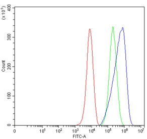 Flow cytometry testing of mouse RAW264.7 cells with Slc3a2 antibody at 1ug/million cells (blocked with goat sera); Red=cells alone, Green=isotype control, Blue= Slc3a2 antibody.