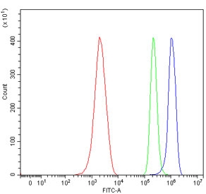 Flow cytometry testing of mouse ANA-1 cells with Ppp1r15a antibody at 1ug/million cells (blocked with goat sera); Red=cells alone, Green=isotype control, Blue= Ppp1r15a antibody.
