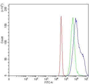 Flow cytometry testing of human K562 cells with SEPT5 antibody at 1ug/million cells (blocked with goat sera); Red=cells alone, Green=isotype control, Blue= SEPT5 antibody.