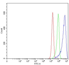 Flow cytometry testing of human RT4 cells with RHNO1 antibody at 1ug/million cells (blocked with goat sera); Red=cells alone, Green=isotype control, Blue= RHNO1 antibody.
