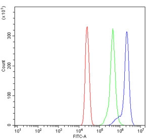 Flow cytometry testing of human U937 cells with TOMM20-like protein 1 antibody at 1ug/million cells (blocked with goat sera); Red=cells alone, Green=isotype control, Blue= TOMM20-like protein 1 antibody.