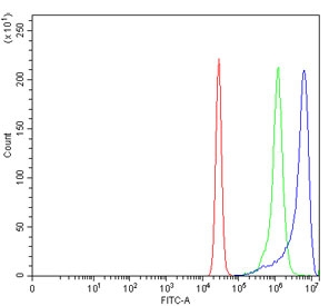 Flow cytometry testing of human K562 cells with ANK1 antibody at 1ug/million cells (blocked with goat sera); Red=cells alone, Green=isotype control, Blue= ANK1 antibody.