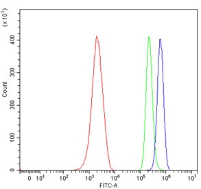Flow cytometry testing of mouse ANA-1 cells with Glucuronosyltransferase 1A1 antibody at 1ug/million cells (blocked with goat sera); Red=cells alone, Green=isotype control, Blue= Glucuronosyltransferase 1A1 antibody.