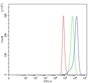 Flow cytometry testing of human HeLa cells with TGF beta Receptor III antibody at 1ug/million cells (blocked with goat sera); Red=cells alone, Green=isotype control, Blue= TGF beta Receptor III antibody.