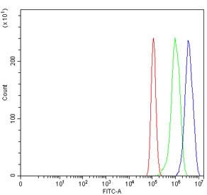 Flow cytometry testing of human PC-3 cells with TGIF1 antibody at 1ug/million cells (blocked with goat sera); Red=cells alone, Green=isotype control, Blue= TGIF1 antibody.