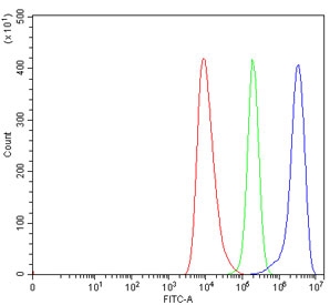 Flow cytometry testing of human HEL cells with SERBP1 antibody at 1ug/million cells (blocked with goat sera); Red=cells alone, Green=isotype control, Blue= SERBP1 antibody.