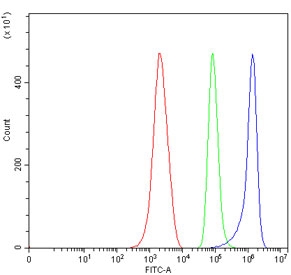 Flow cytometry testing of mouse ANA-1 cells with 4-1BBL antibody at 1ug/million cells (blocked with goat sera); Red=cells alone, Green=isotype control, Blue= 4-1BBL antibody.