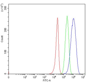 Flow cytometry testing of human 293T cells with TRIM3 antibody at 1ug/million cells (blocked with goat sera); Red=cells alone, Green=isotype control, Blue= TRIM3 antibody.