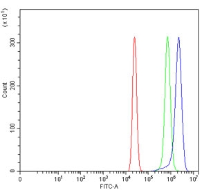 Flow cytometry testing of human U-2 OS cells with VPS51 antibody at 1ug/million cells (blocked with goat sera); Red=cells alone, Green=isotype control, Blue= VPS51 antibody.
