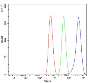Flow cytometry testing of human U-87 MG cells with SCAMP1 antibody at 1ug/million cells (blocked with goat sera); Red=cells alone, Green=isotype control, Blue= SCAMP1 antibody.