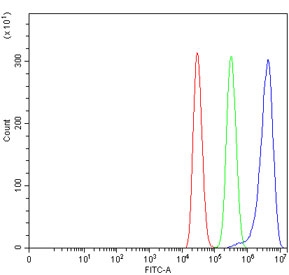 Flow cytometry testing of human MCF7 cells with TSPYL5 antibody at 1ug/million cells (blocked with goat sera); Red=cells alone, Green=isotype control, Blue= TSPYL5 antibody.