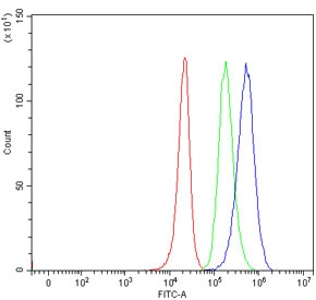 Flow cytometry testing of human 293T cells with hKR3 antibody at 1ug/million cells (blocked with goat sera); Red=cells alone, Green=isotype control, Blue= hKR3 antibody.
