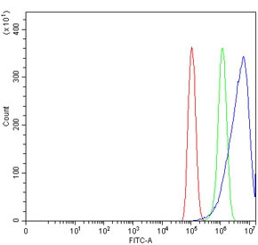 Flow cytometry testing of human PC-3 cells with THUMP domain-containing protein 3 antibody at 1ug/million cells (blocked with goat sera); Red=cells alone, Green=isotype control, Blue= THUMP domain-containing protein 3 antibody.