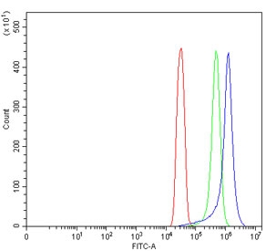Flow cytometry testing of human SiHa cells with TM7SF3 antibody at 1ug/million cells (blocked with goat sera); Red=cells alone, Green=isotype control, Blue= TM7SF3 antibody.