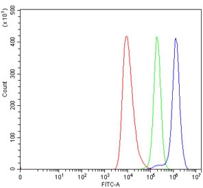 Flow cytometry testing of human HEL cells with TRIM67 antibody at 1ug/million cells (blocked with goat sera); Red=cells alone, Green=isotype control, Blue= TRIM67 antibody.