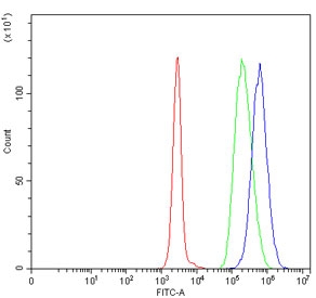 Flow cytometry testing of human Daudi cells with TIGD6 antibody at 1ug/million cells (blocked with goat sera); Red=cells alone, Green=isotype control, Blue= TIGD6 antibody.