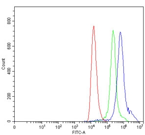 Flow cytometry testing of human HEL cells with TAL1 antibody at 1ug/million cells (blocked with goat sera); Red=cells alone, Green=isotype control, Blue= TAL1 antibody.