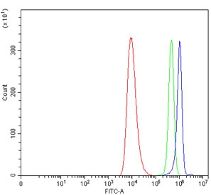 Flow cytometry testing of human HEL cells with WIPF1 antibody at 1ug/million cells (blocked with goat sera); Red=cells alone, Green=isotype control, Blue= WIPF1 antibody.