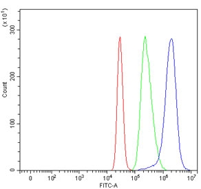 Flow cytometry testing of human K562 cells with SEC22B antibody at 1ug/million cells (blocked with goat sera); Red=cells alone, Green=isotype control, Blue= SEC22B antibody.