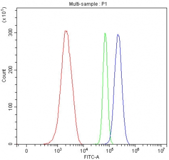 Flow cytometry testing of mouse ANA-1 cells with Y-box-binding protein 1 antibody at 1ug/million cells (blocked with goat sera); Red=cells alone, Green=isotype control, Blue= Y-box-binding protein 1 antibody.