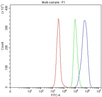 Flow cytometry testing of human Daudi cells with Ro60 antibody at 1ug/million cells (blocked with goat sera); Red=cells alone, Green=isotype control, Blue= Ro60 antibody.