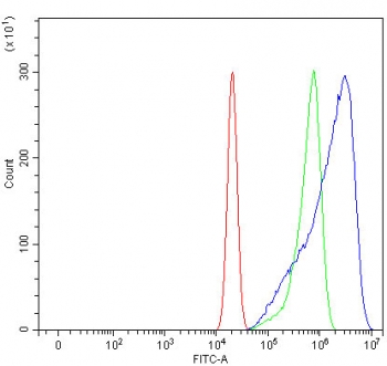 Flow cytometry testing of human U-2 OS cells with SHROOM2 antibody at 1ug/million cells (blocked with goat sera); Red=cells alone, Green=isotype control, Blue= SHROOM2 antibody.