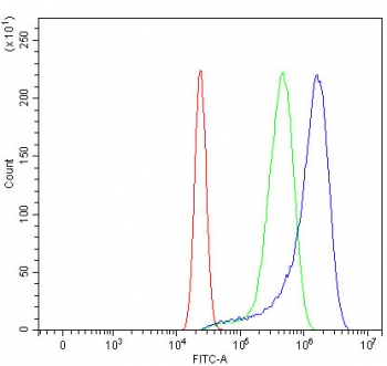 Flow cytometry testing of human U-2 OS cells with Fibroblast growth factor receptor 2 antibody at 1ug/million cells (blocked with goat sera); Red=cells alone, Green=isotype control, Blue= Fibroblast growth factor receptor 2 antibody.