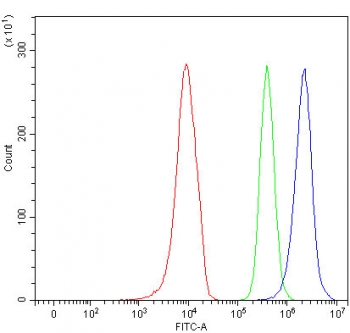 Flow cytometry testing of human 293T cells with SLC17A4 antibody at 1ug/million cells (blocked with goat sera); Red=cells alone, Green=isotype control, Blue= SLC17A4 antibody.