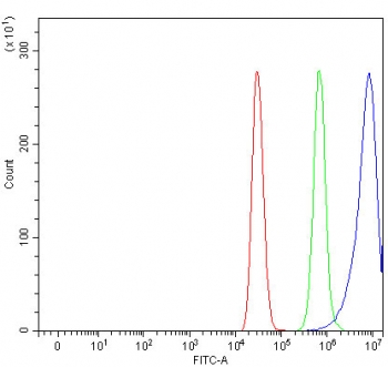 Flow cytometry testing of human MCF7 cells with IRBP antibody at 1ug/million cells (blocked with goat sera); Red=cells alone, Green=isotype control, Blue= IRBP antibody.
