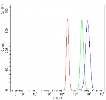 Flow cytometry testing of human HepG2 cells with RAVER1 antibody at 1ug/million cells (blocked with goat sera); Red=cells alone, Green=isotype control, Blue= RAVER1 antibody.