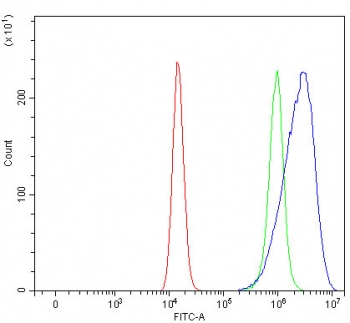 Flow cytometry testing of human HEL cells with ROM1 antibody at 1ug/million cells (blocked with goat sera); Red=cells alone, Green=isotype control, Blue= ROM1 antibody.