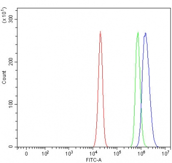 Flow cytometry testing of human U-2 OS cells with RIT2 antibody at 1ug/million cells (blocked with goat sera); Red=cells alone, Green=isotype control, Blue= RIT2 antibody.