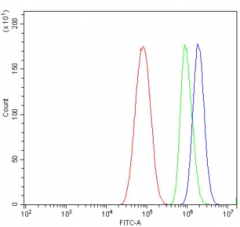 Flow cytometry testing of human HepG2 cells with CRYAA antibody at 1ug/million cells (blocked with goat sera); Red=cells alone, Green=isotype control, Blue= CRYAA antibody.