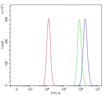 Flow cytometry testing of human HEL cells with SMCR8 antibody at 1ug/million cells (blocked with goat sera); Red=cells alone, Green=isotype control, Blue= SMCR8 antibody.