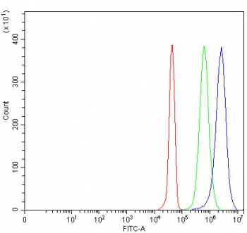 Flow cytometry testing of human JK cells with PRSS27 antibody at 1ug/million cells (blocked with goat sera); Red=cells alone, Green=isotype control, Blue= PRSS27 antibody.