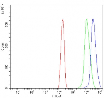 Flow cytometry testing of human U-2 OS cells with ORC1 antibody at 1ug/million cells (blocked with goat sera); Red=cells alone, Green=isotype control, Blue= ORC1 antibody.